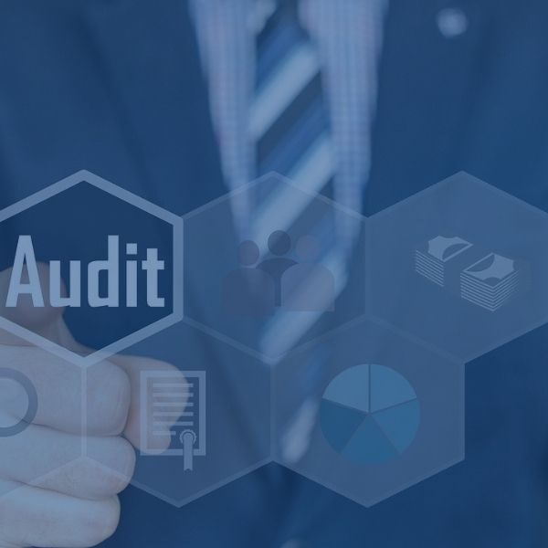 Intellectual Property Auditing